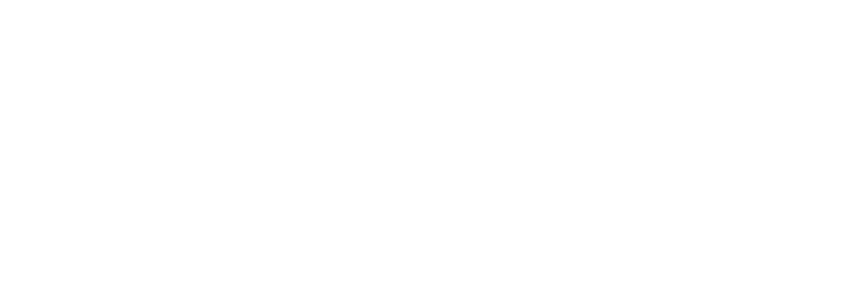Salina Logo